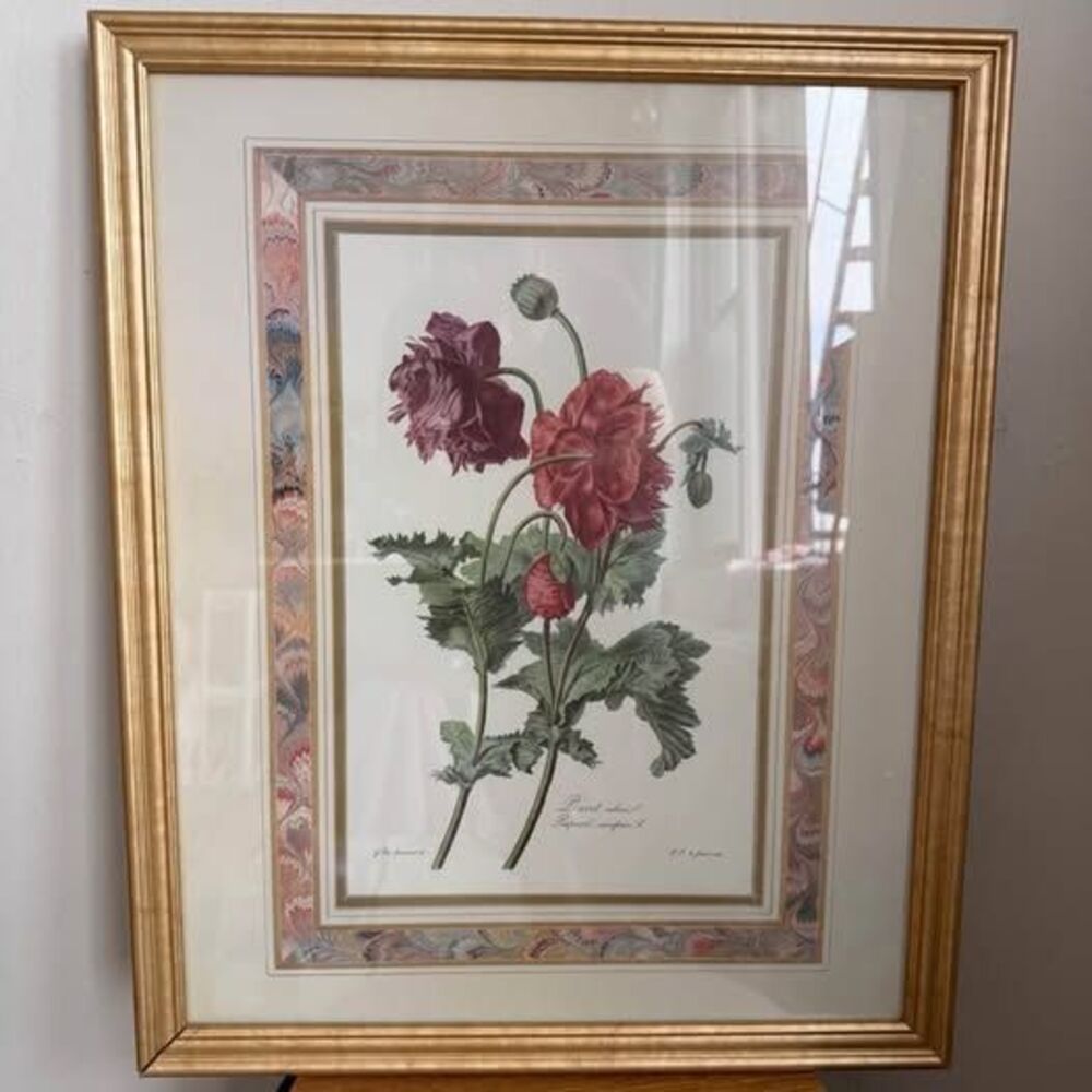 Framed Vintage French Botanical Print – Red & Purple Poppy – 22”x 26”